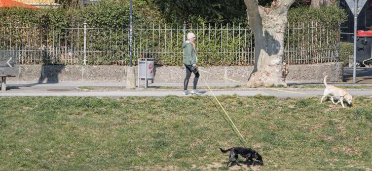 Besitzer halten ihre Hund beim Gassi gehen vorbildlich an der Leine.