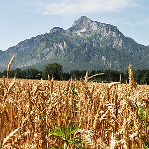 Der Untersberg im Herbst