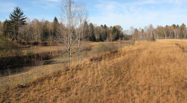 Das Hammerauer Moor an schönem Herbsttag