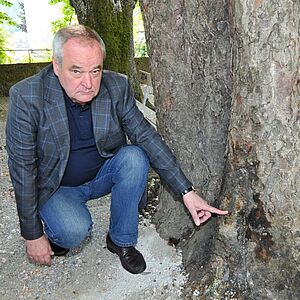 Außen hui, innen pfui: