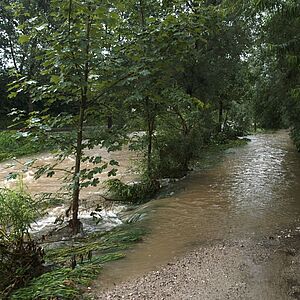 Wasserfuehrung beim Alterbach im Jahre 2005