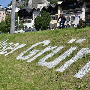 "Unser Grun" an der Salzach-Böschung