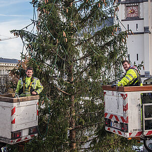 Christbaum vor dem Schloss Mirabell