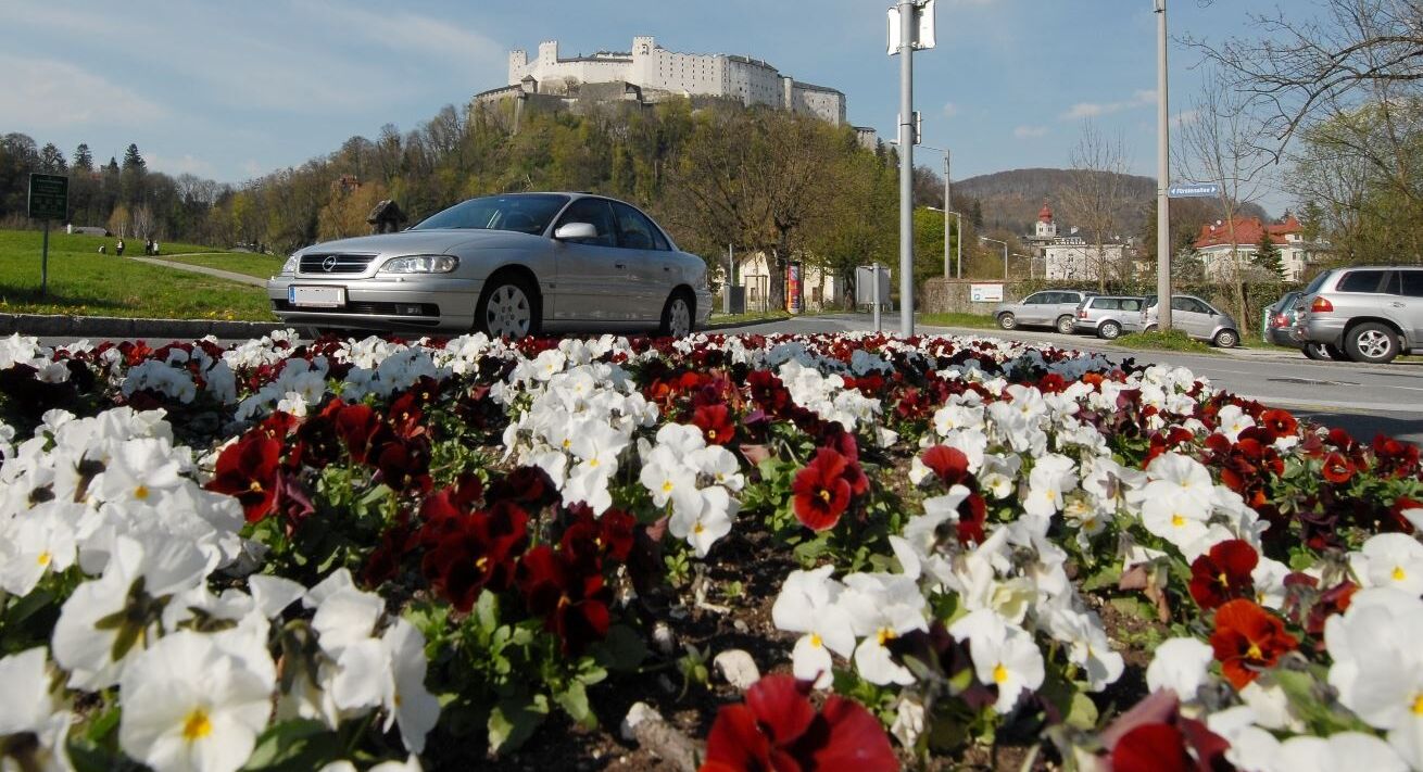 Eine blühende Verkehrsfläche