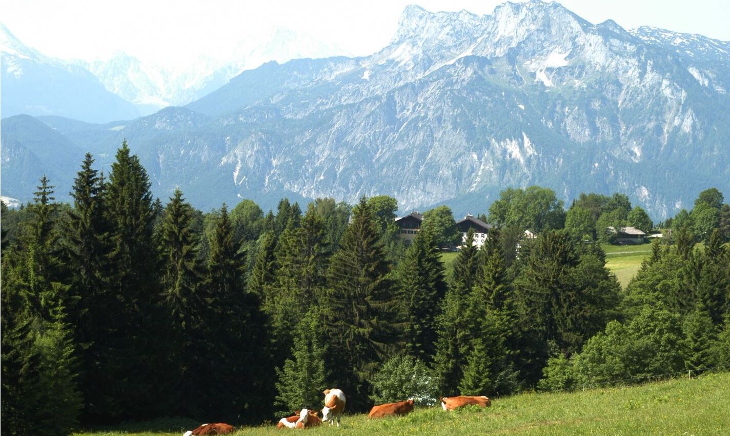 Aussicht vom Rundwanderweg am Gaisberg