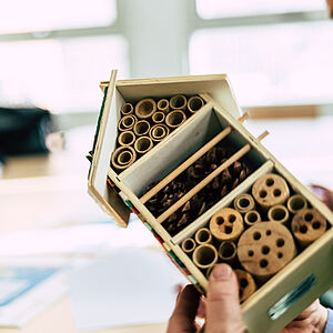 Rettet die Bienen: