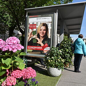 Unser Grün: Geschmückte Haltestelle Mirabellplatz