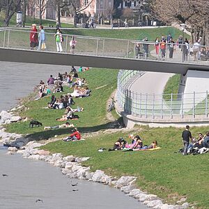 Die frisch gemähte und gepflegte Salzachböschung