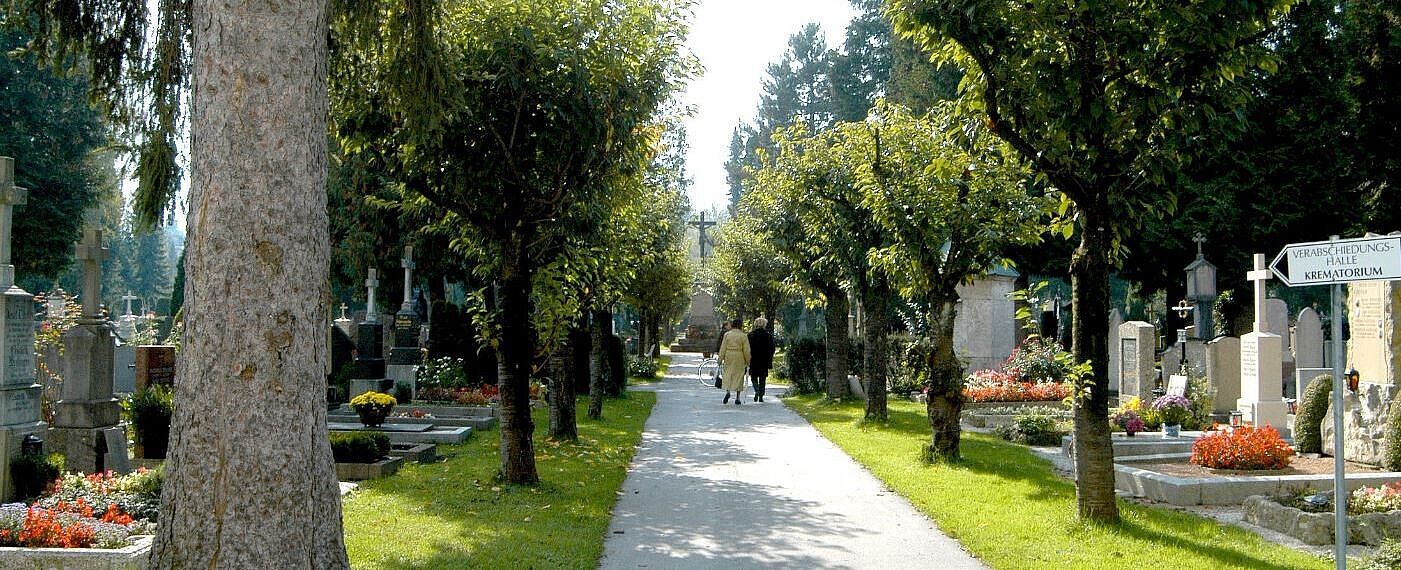 Gräber am Kommunalfriedhof Spazierweg welcher durch die Gräber am Kommunalfriedhof führt.