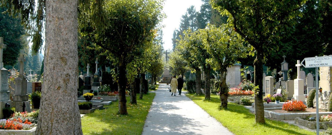 Spazierweg welcher durch die Gräber am Kommunalfriedhof führt.