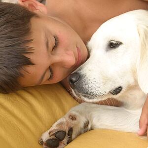 KIBELLO-Hund im Kinderspital