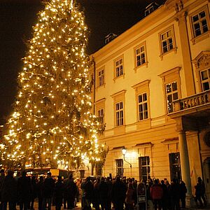 Weihnachtsbaum vor dem Schloss Mirabell 