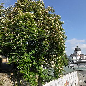 Der Schein trügt: