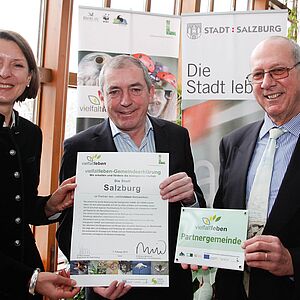 Freude über neue vielfaltleben-Partnerschaft