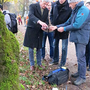 Baumpflegemaßnahmen an kranken Bäumen