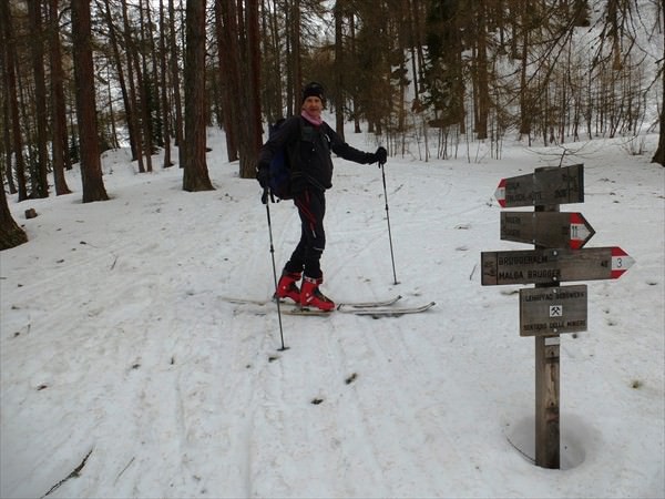 Orientierung im kurzen Waldstück