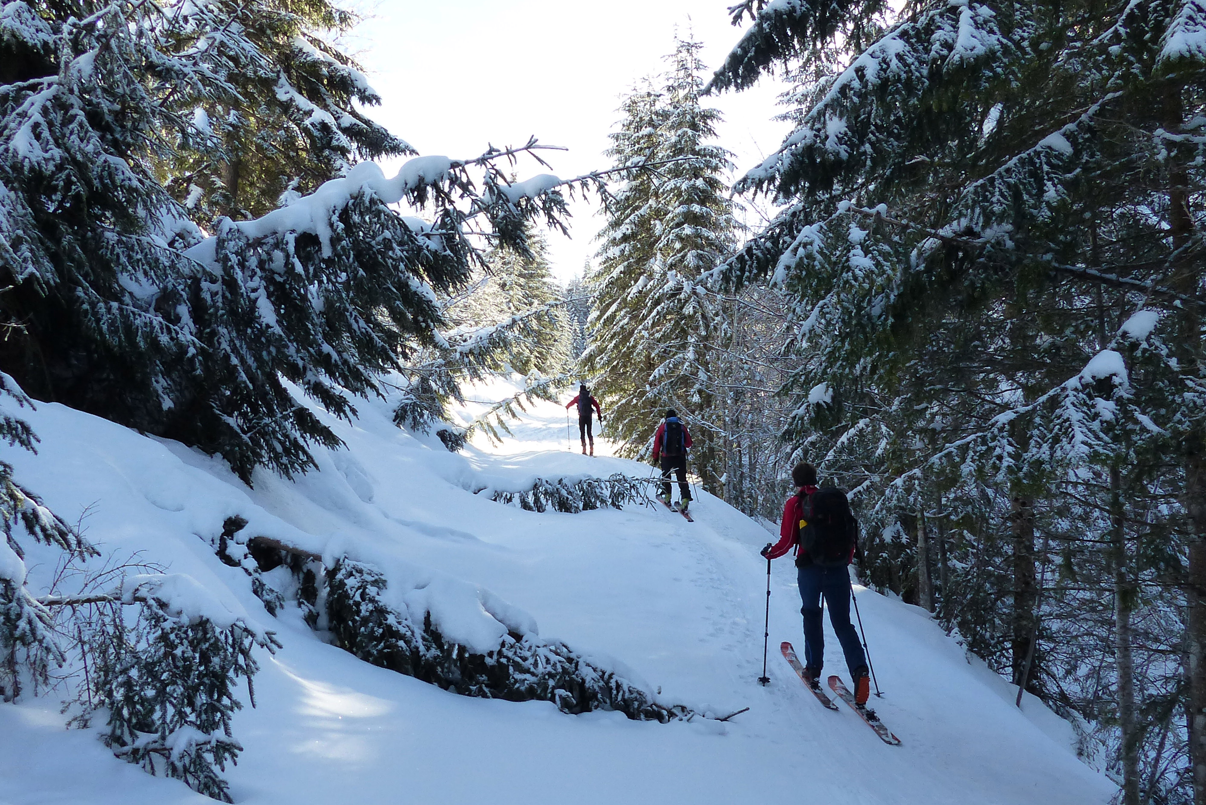 Spuren eines schneereicher Winters