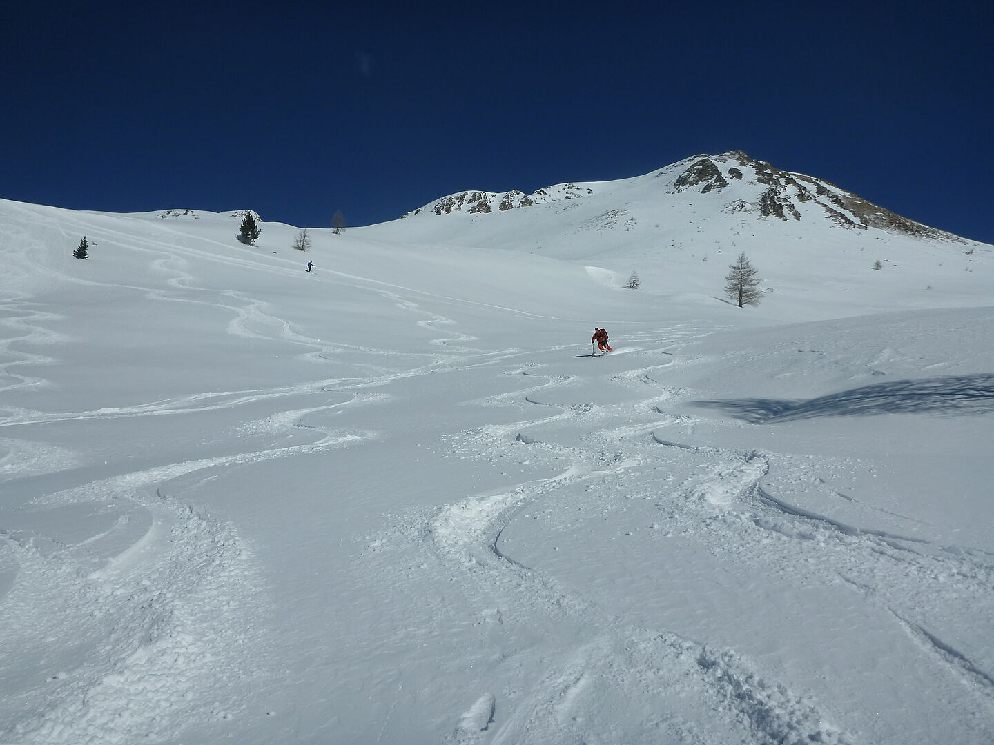 Blick den Hang hinauf mit den einzelnen Wedelspuren der Tourenteilnehmer im Tiefschneehang