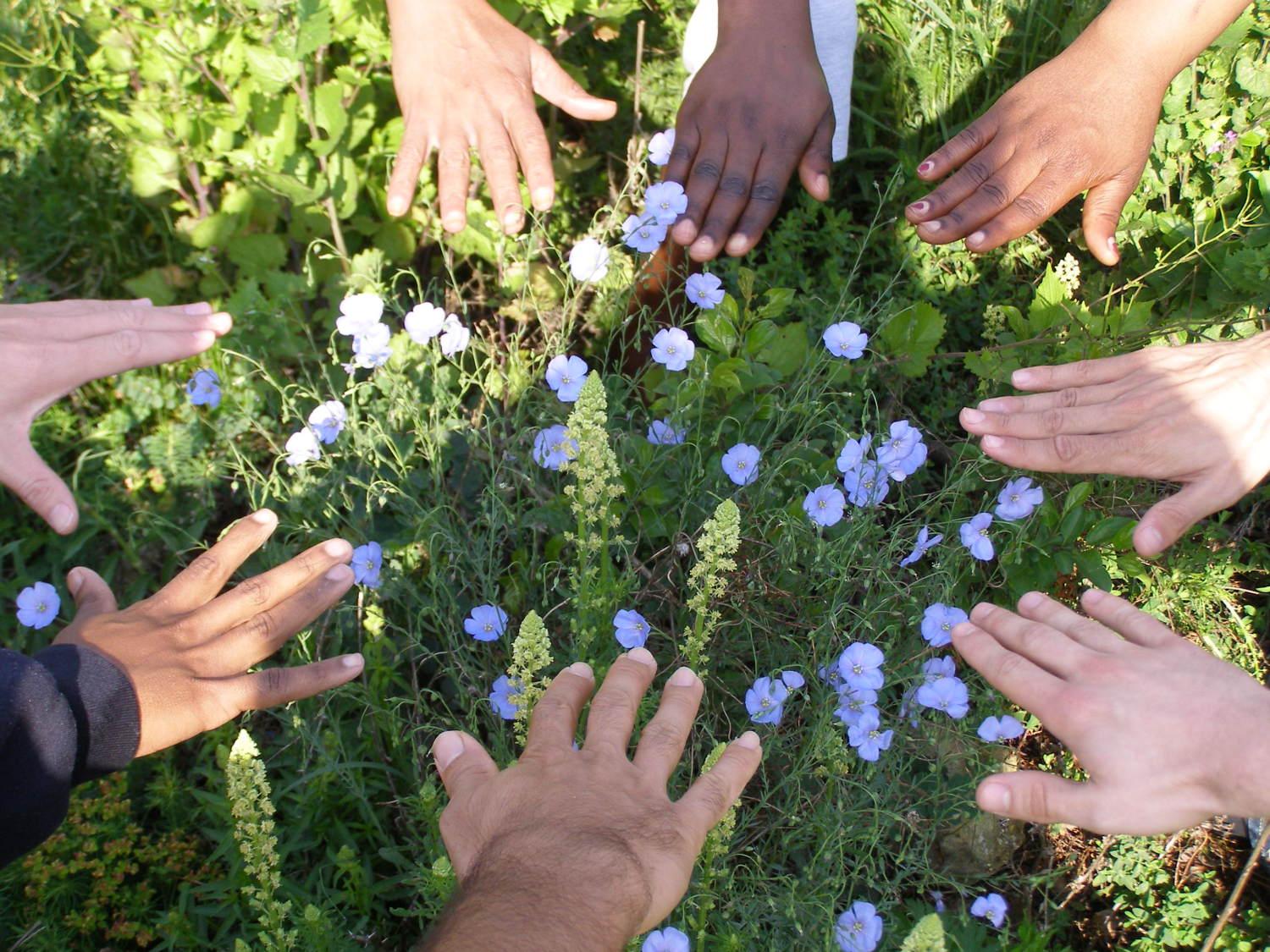 Gärtnern schafft Gemeinsamkeit