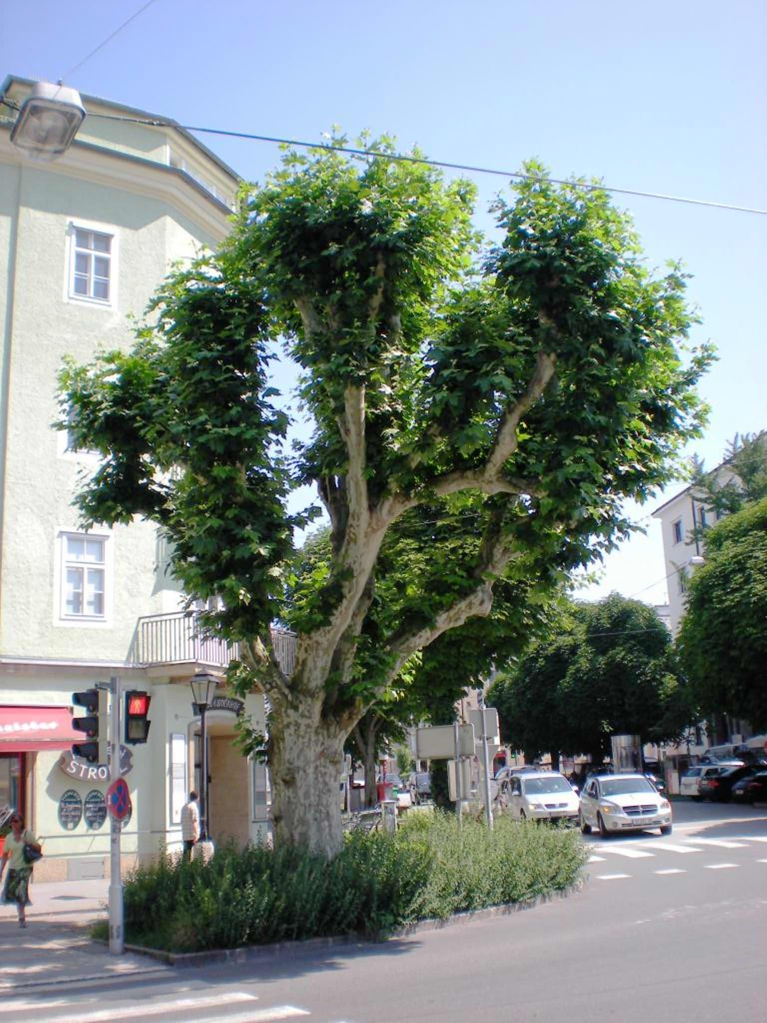Anno 2008: