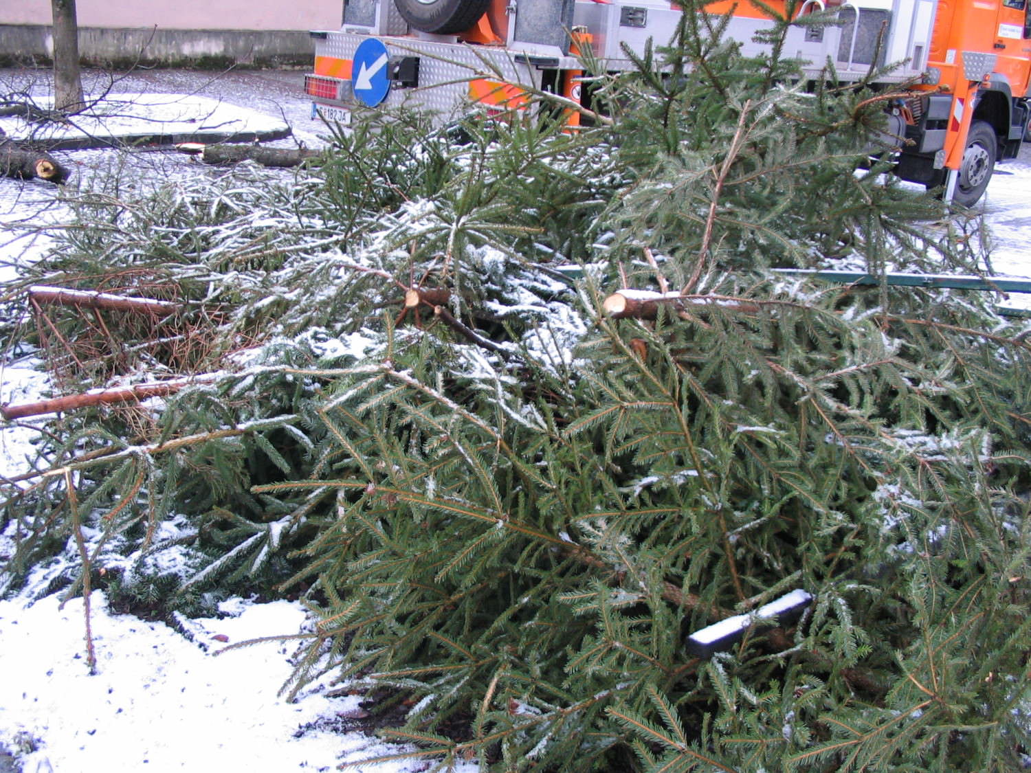 Ausgediente Christbäume Ausgediente Christbäume