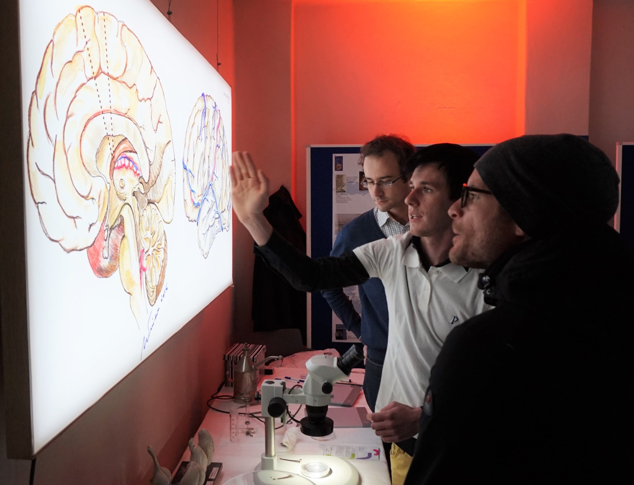 Neurowissenschaften zum Anfassen: Neurowissenschaften zum Anfassen: