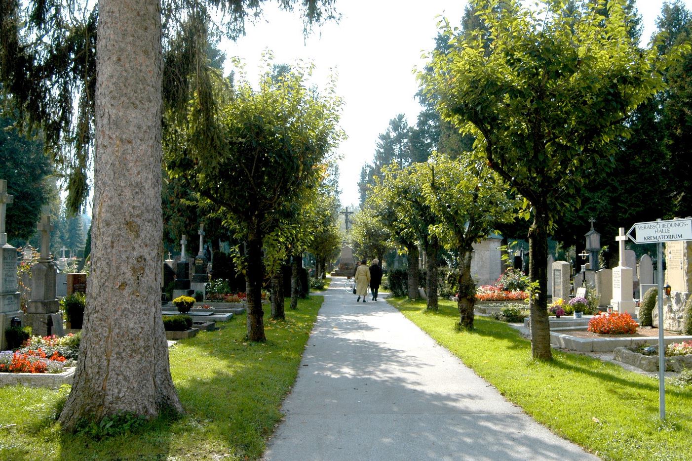 Spazierweg welcher durch die Gräber am Kommunalfriedhof führt.