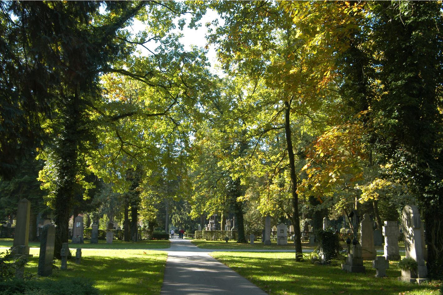 Spazierweg durch den ursprünglichen Waldfriedhof.