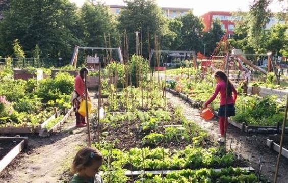 Arbeiter welche den Gemeinschaftsgarten bewässern