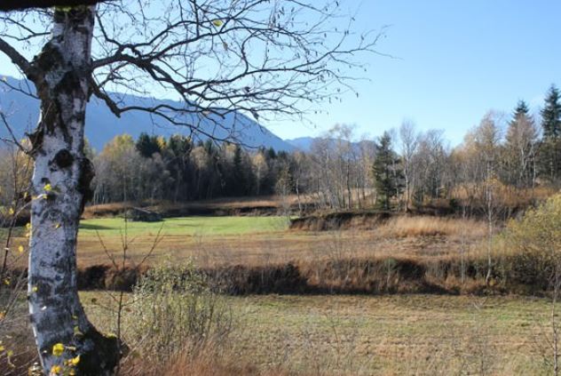 Das Hamerauer Moor mit Blick auf den Untersberg im Herbst