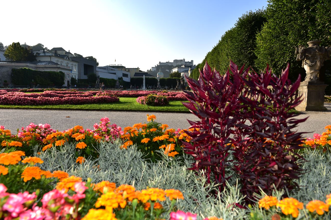 Die wunderschön blühenden Blumen im Mirabellgarten