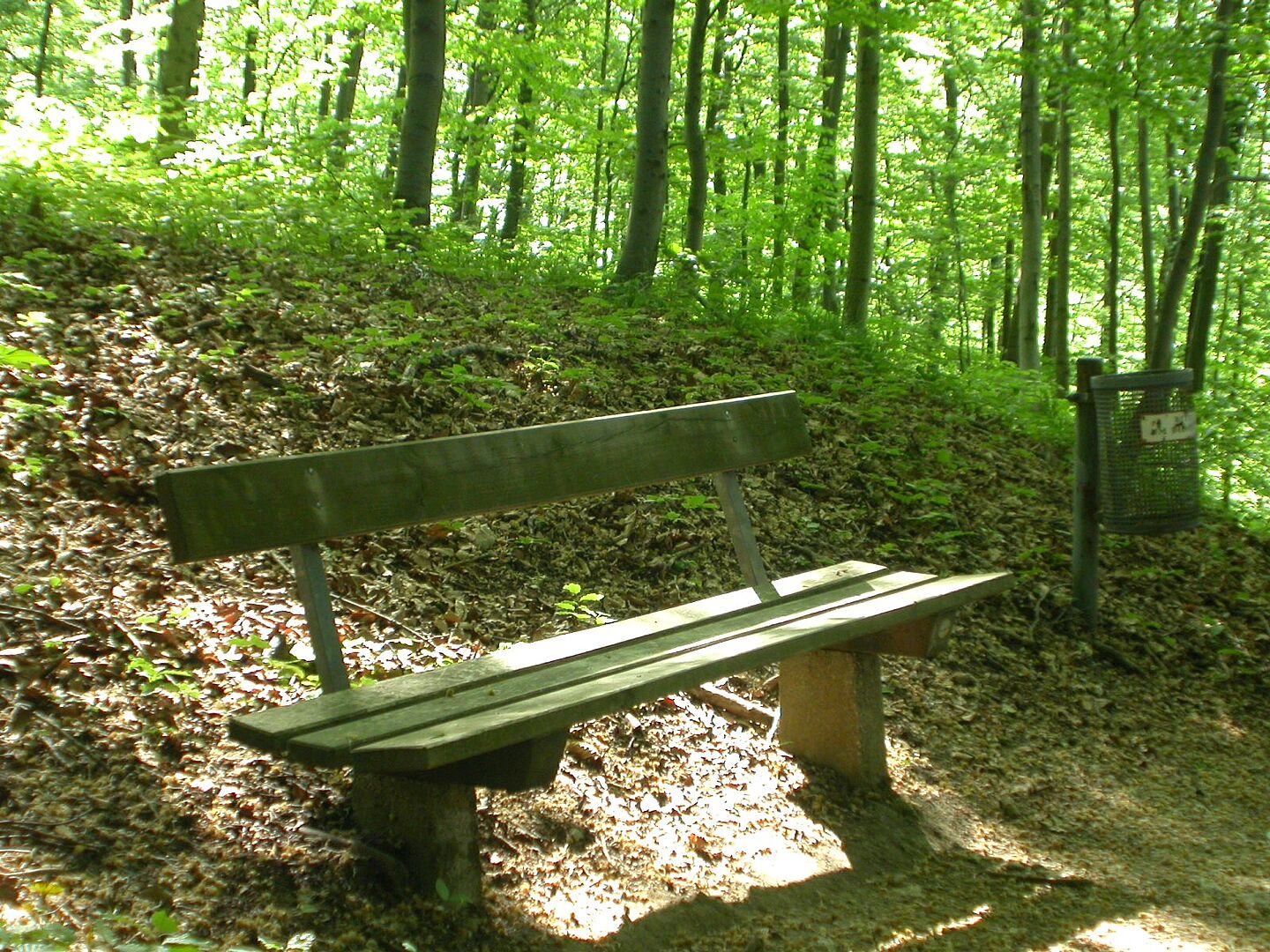 Eine Sitzbank im Erholungsgebiet der Stadtberge umgeben von Bäume