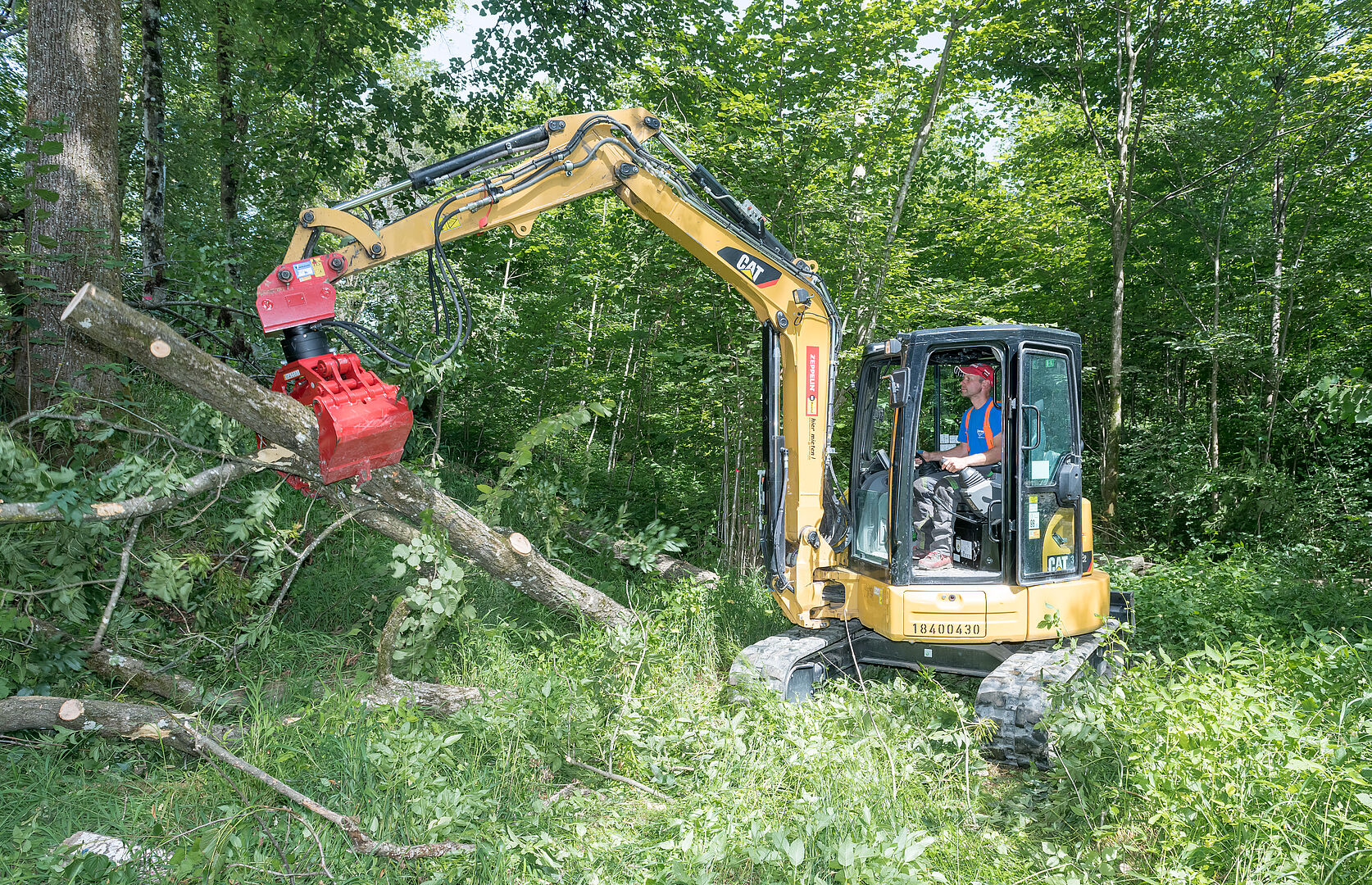 Forstarbeiten im Stadtwald