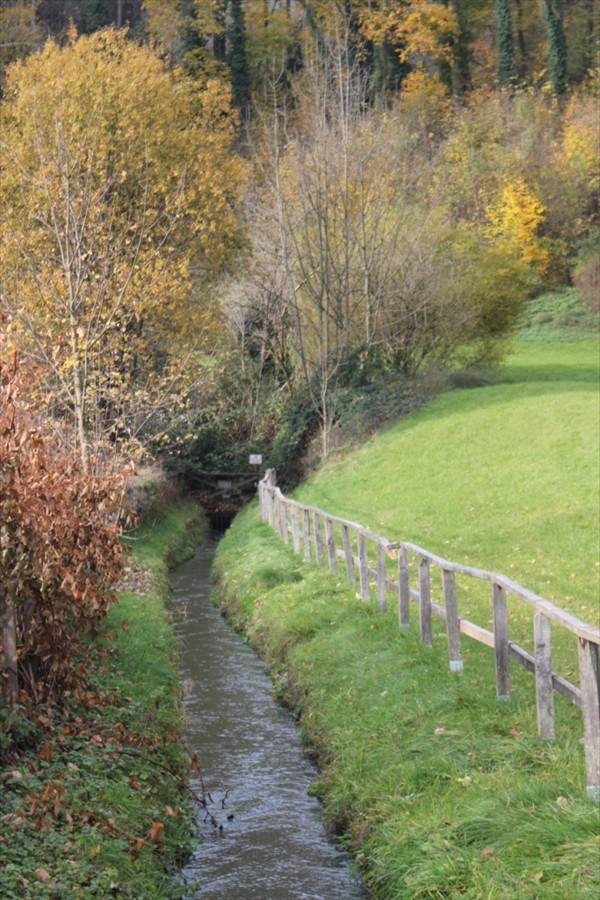 Der Herbstliche Spazierweg vor dem Mönchbergstille