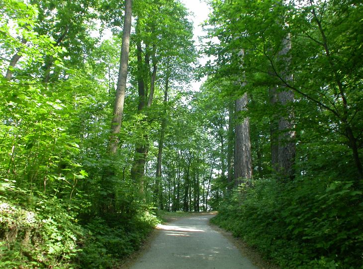 Stadtwaldwege Ein Spazierweg durch die Stadtwälder