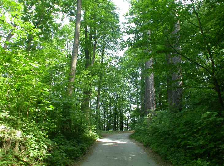 Ein Spazierweg durch die Stadtwälder