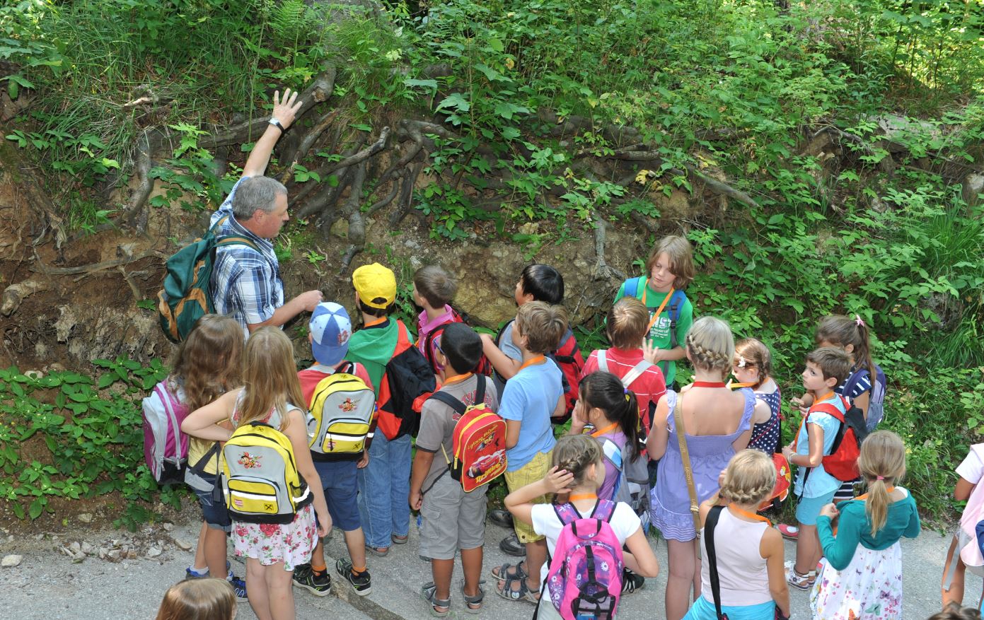 Der Walfexperte Josef Brawisch beim Führen einer Schulkasse durch den Wald