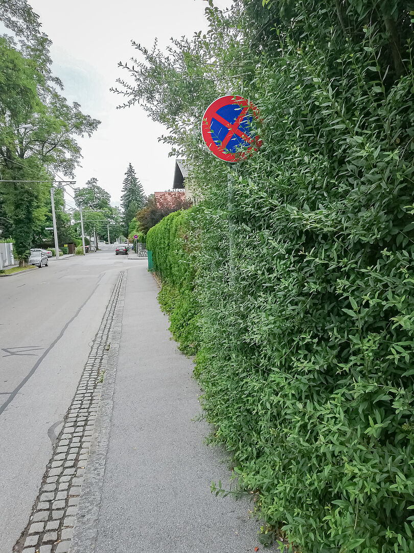 Stadt Salzburg - Heckenschnitt zum Straßenraum: Was Sie unbedingt beachten  sollten