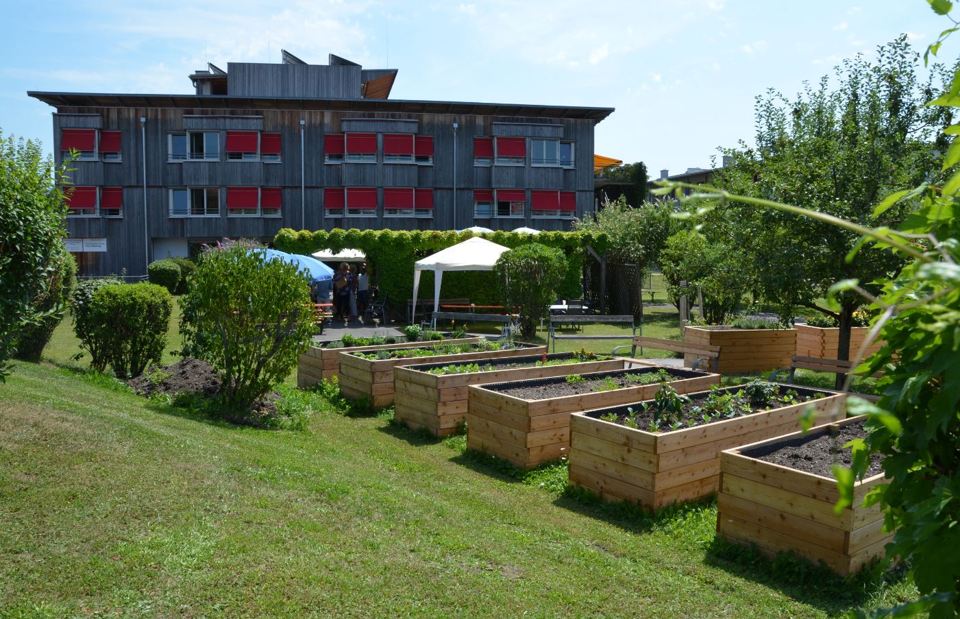 Garten SWH Bolaring Der grüne Garten des Seniorenwohnhauses Bolaring