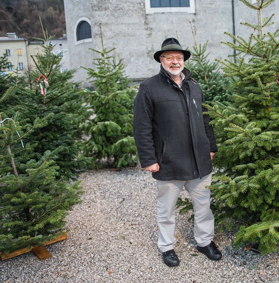 Christbäume am Residenzplatz