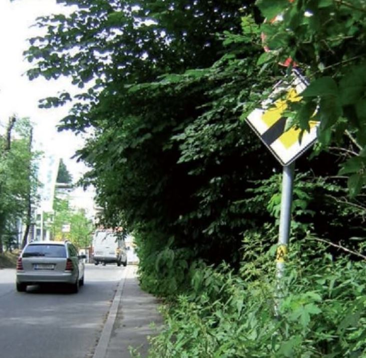 Rückschnitt von wuchernden Hecken und Bäumen zum Schutz von Fußgänger und Radler Eine nicht geschnittene Hecke