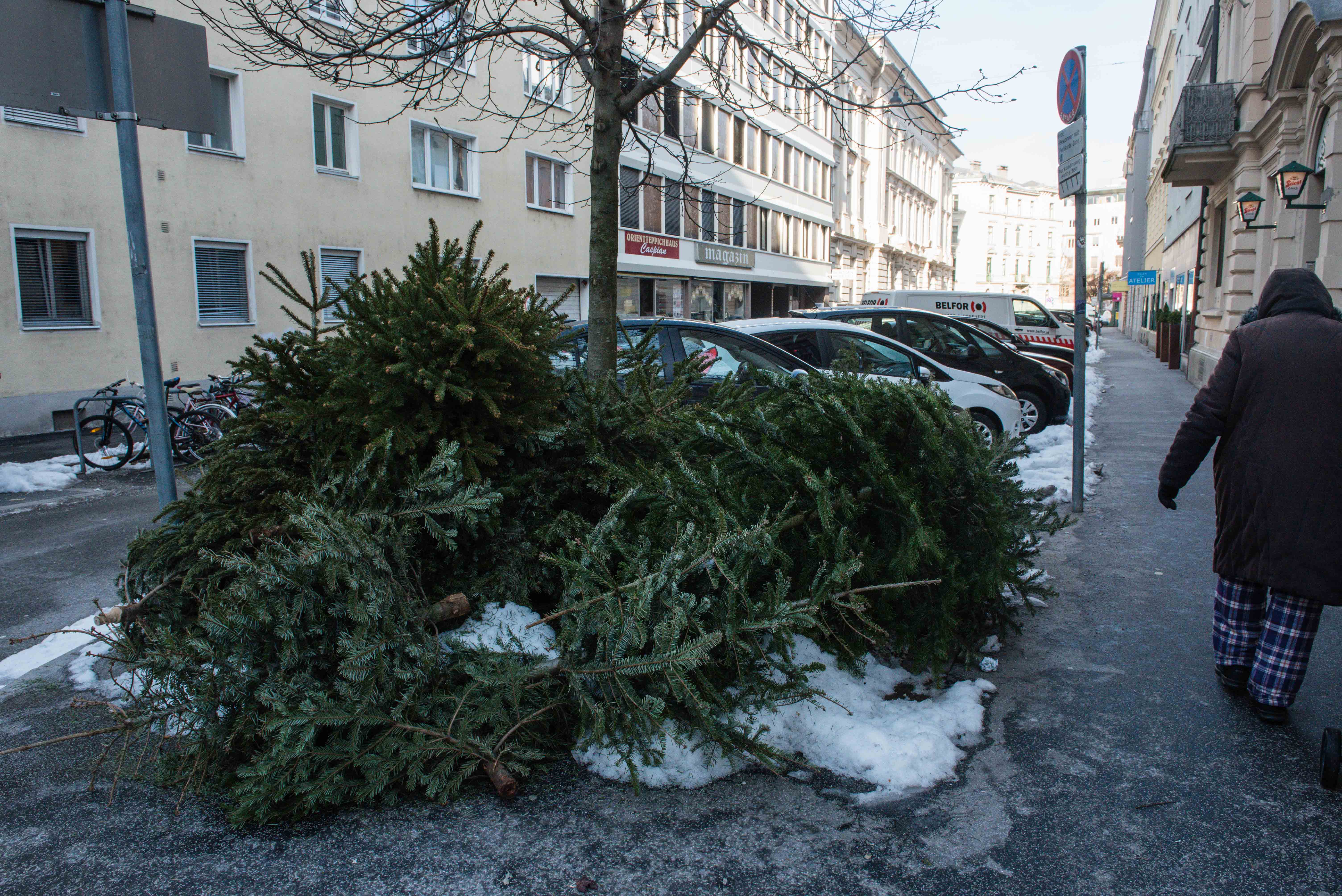 Das Abfallservice holt Christbäume kostenlos ab.