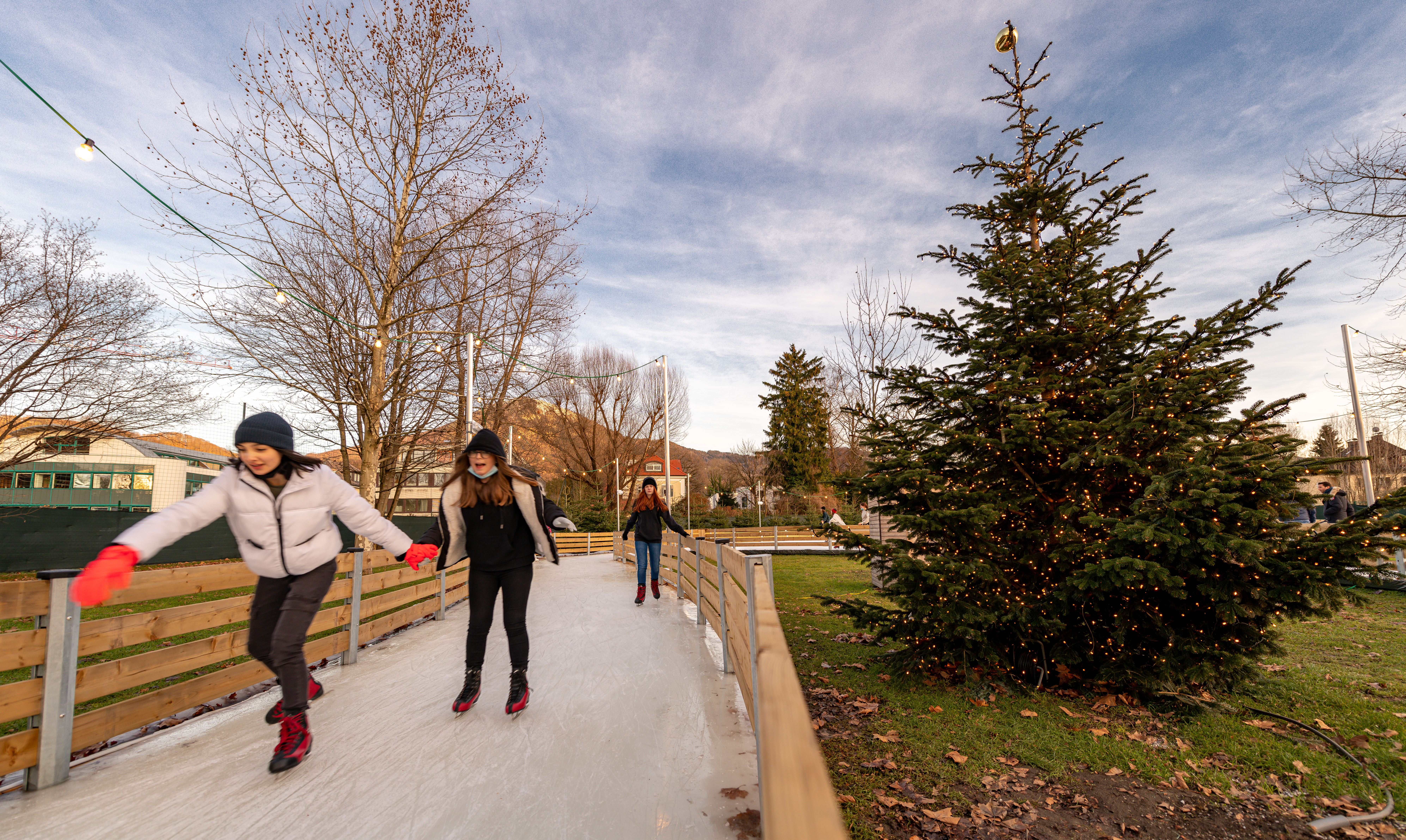 Eiszauber im Volksgarten