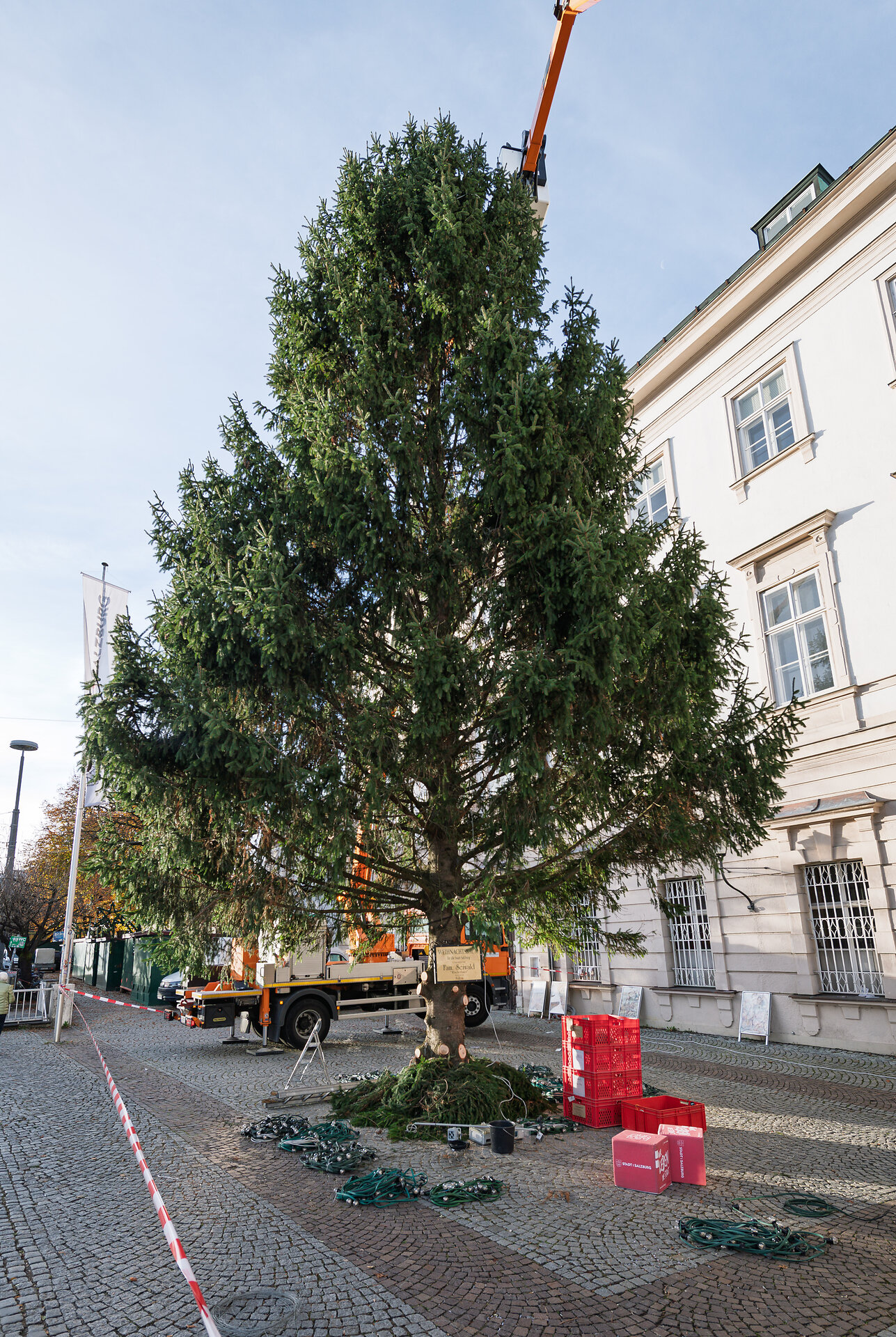 Christbaum 2025