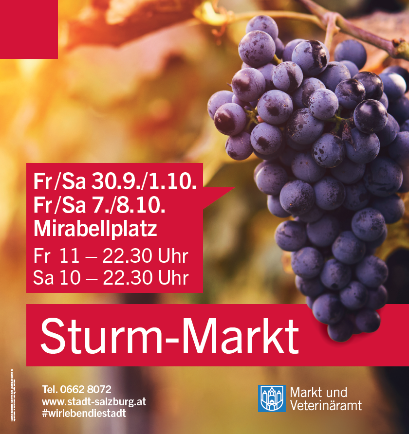 Auch heuer gibt es wieder den beliebten Sturm-Markt