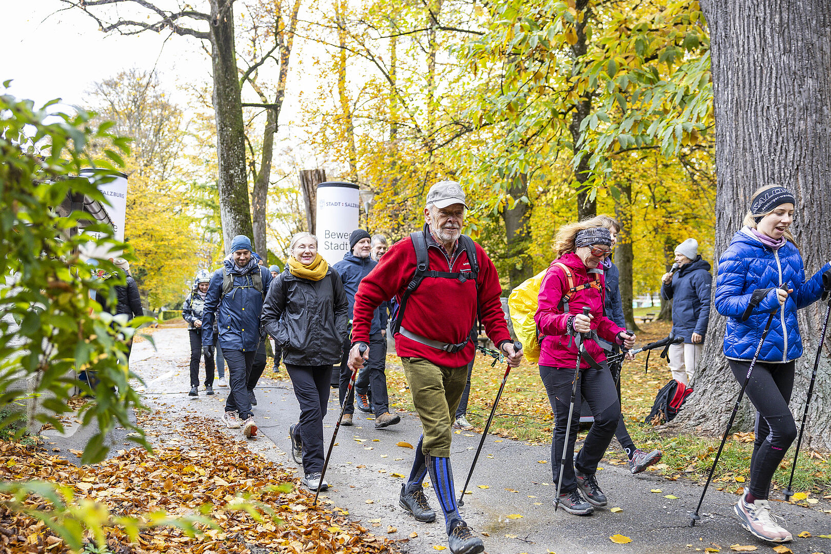 Aktiv unterwegs zu mehr Ausdauer! Das Bild zeigt Wanderer mit Walkingstöcken im Wald.