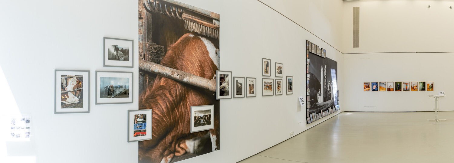 40 Jahre Fotohof