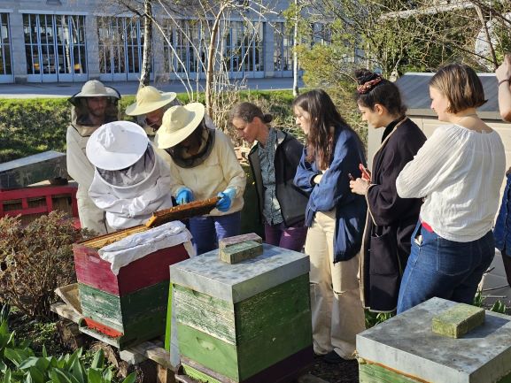 Wir schwärmen für den Bienenstock