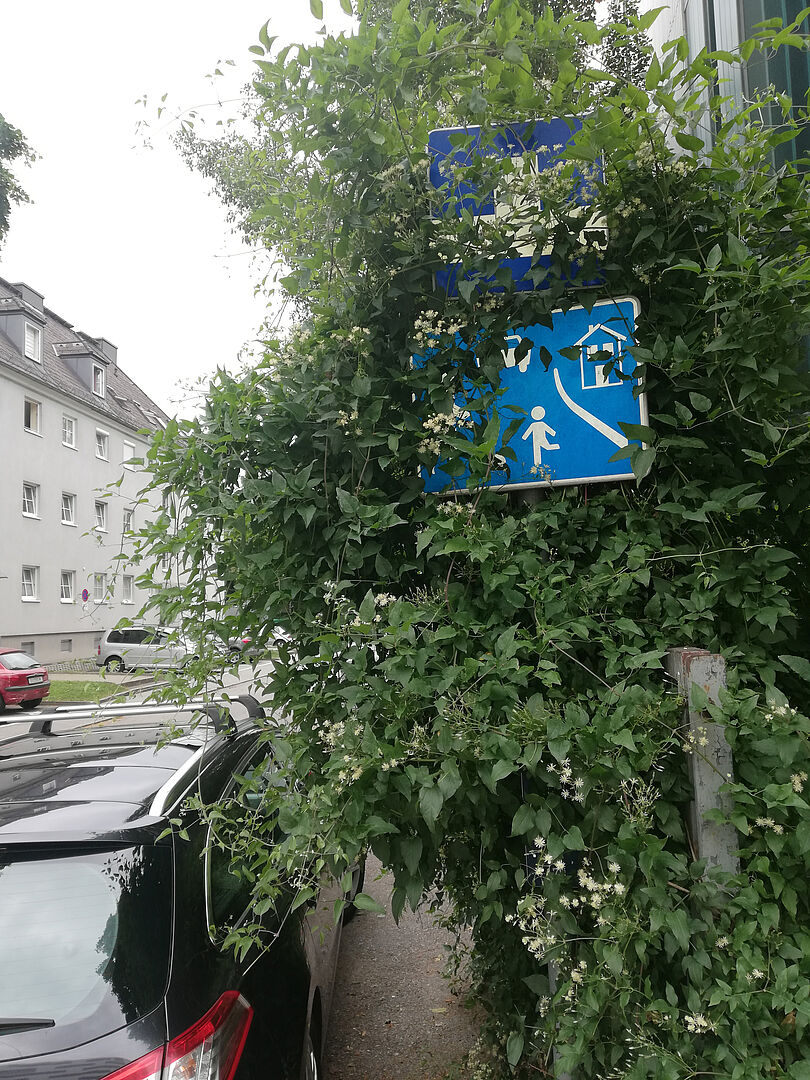 "Versteckte" Verkehrszeichen im Straßenraum