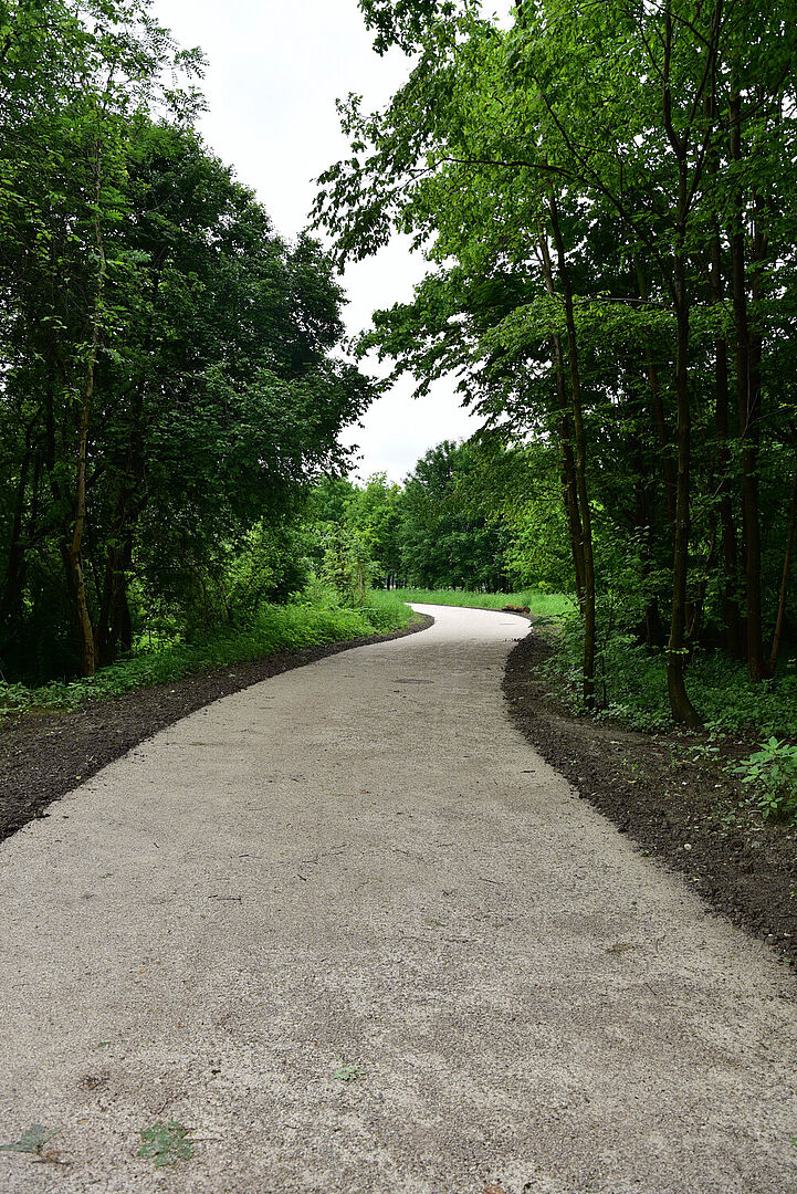 Radweg in der Otto-Holzbauer-Straße: ökologisch und nachhaltig gebaut